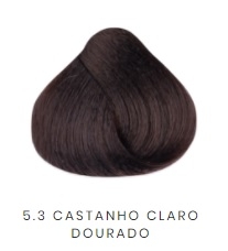 5.3 CASTANHO CLARO DOURADO - 5.3