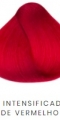 0.6 INTENSIFICADOR DE VERMELHO - 0.6